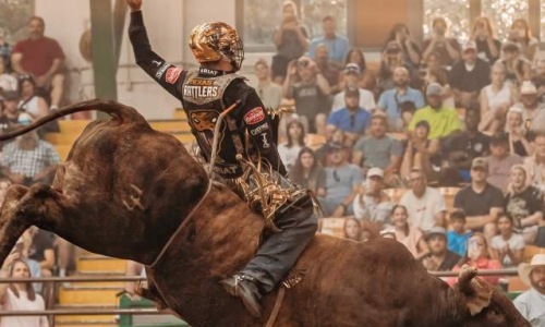 Cowtown Coliseum: Daily Rodeos & More! Cover Image Cowtown Coliseum: Daily Rodeos & More! Cover Image